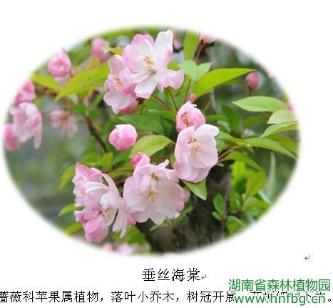 AG旗舰厅(中国游)官方网站