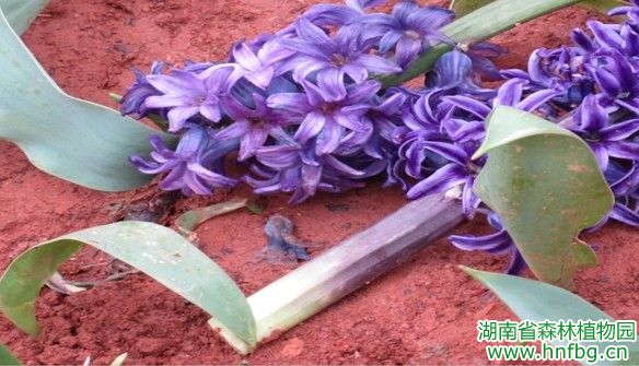 AG旗舰厅(中国游)官方网站