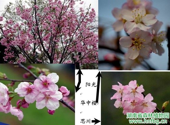 AG旗舰厅(中国游)官方网站