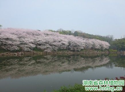 AG旗舰厅(中国游)官方网站