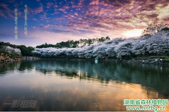 AG旗舰厅(中国游)官方网站