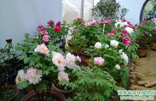 AG旗舰厅(中国游)官方网站