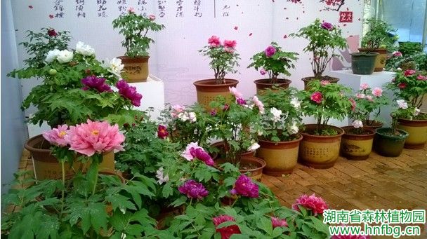 AG旗舰厅(中国游)官方网站