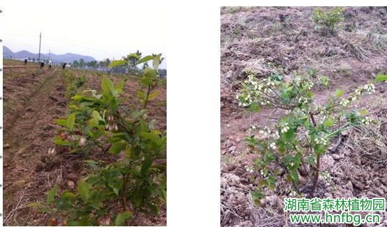AG旗舰厅(中国游)官方网站