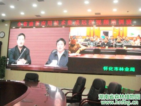 AG旗舰厅(中国游)官方网站