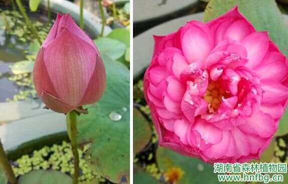 AG旗舰厅(中国游)官方网站
