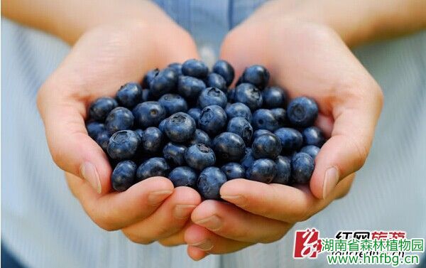 AG旗舰厅(中国游)官方网站
