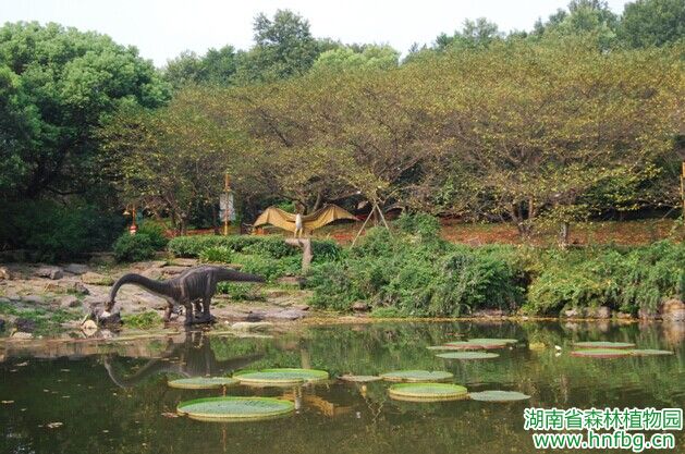 AG旗舰厅(中国游)官方网站