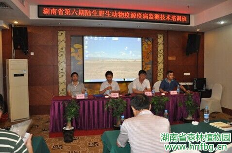 AG旗舰厅(中国游)官方网站