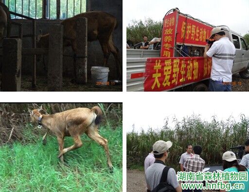 AG旗舰厅(中国游)官方网站