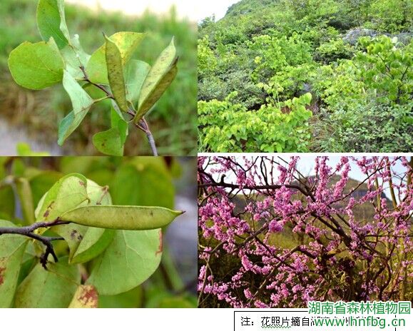 AG旗舰厅(中国游)官方网站