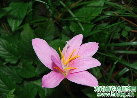 AG旗舰厅(中国游)官方网站