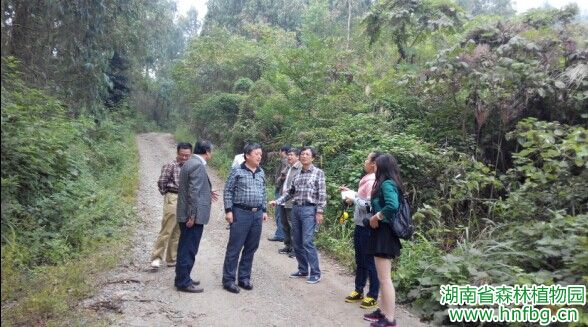 AG旗舰厅(中国游)官方网站
