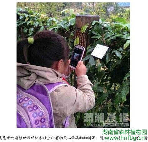 AG旗舰厅(中国游)官方网站