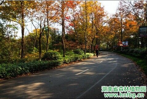 AG旗舰厅(中国游)官方网站