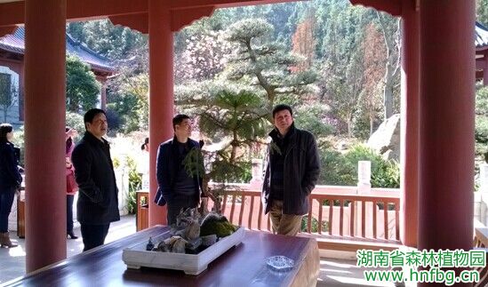 AG旗舰厅(中国游)官方网站
