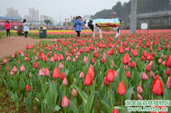 AG旗舰厅(中国游)官方网站