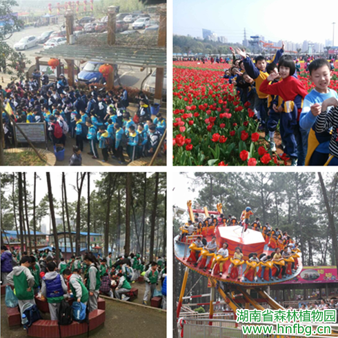 AG旗舰厅(中国游)官方网站