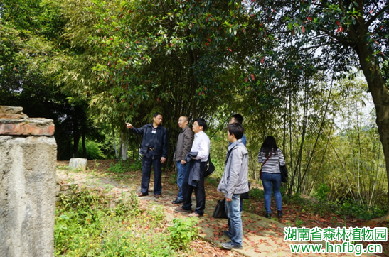AG旗舰厅(中国游)官方网站