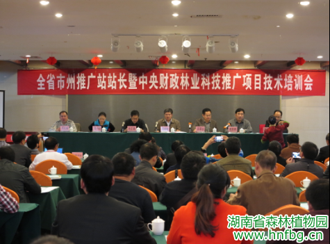 AG旗舰厅(中国游)官方网站