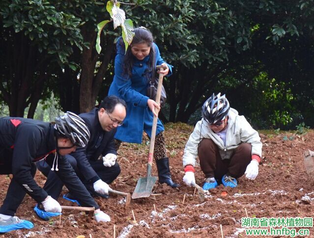 AG旗舰厅(中国游)官方网站