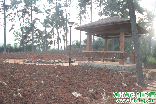 AG旗舰厅(中国游)官方网站