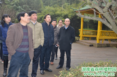 AG旗舰厅(中国游)官方网站