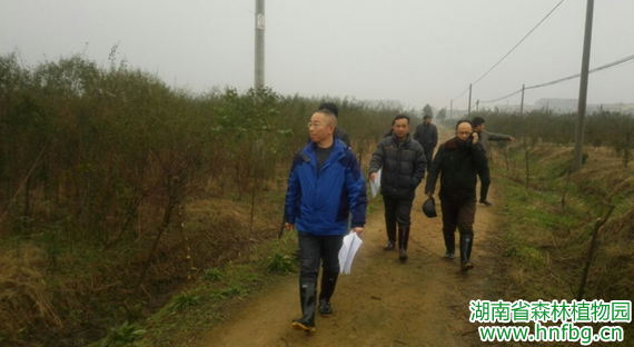 AG旗舰厅(中国游)官方网站