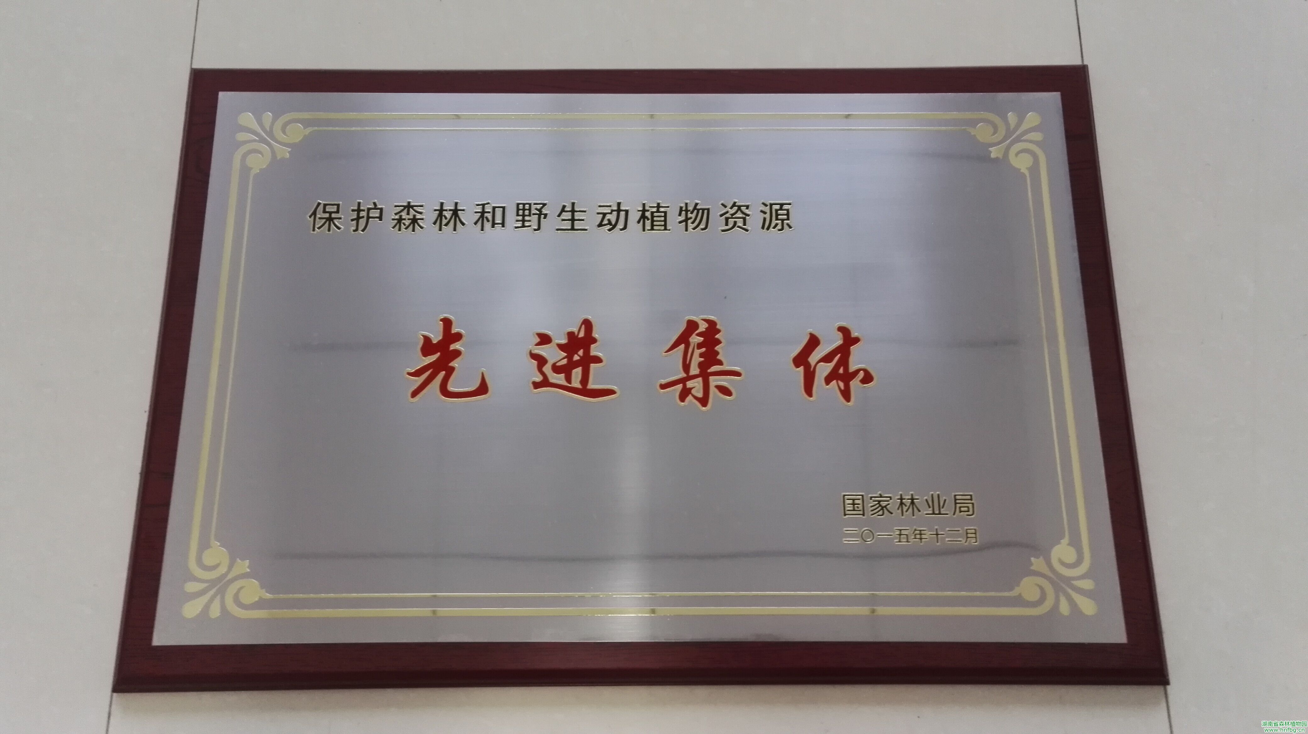 AG旗舰厅(中国游)官方网站