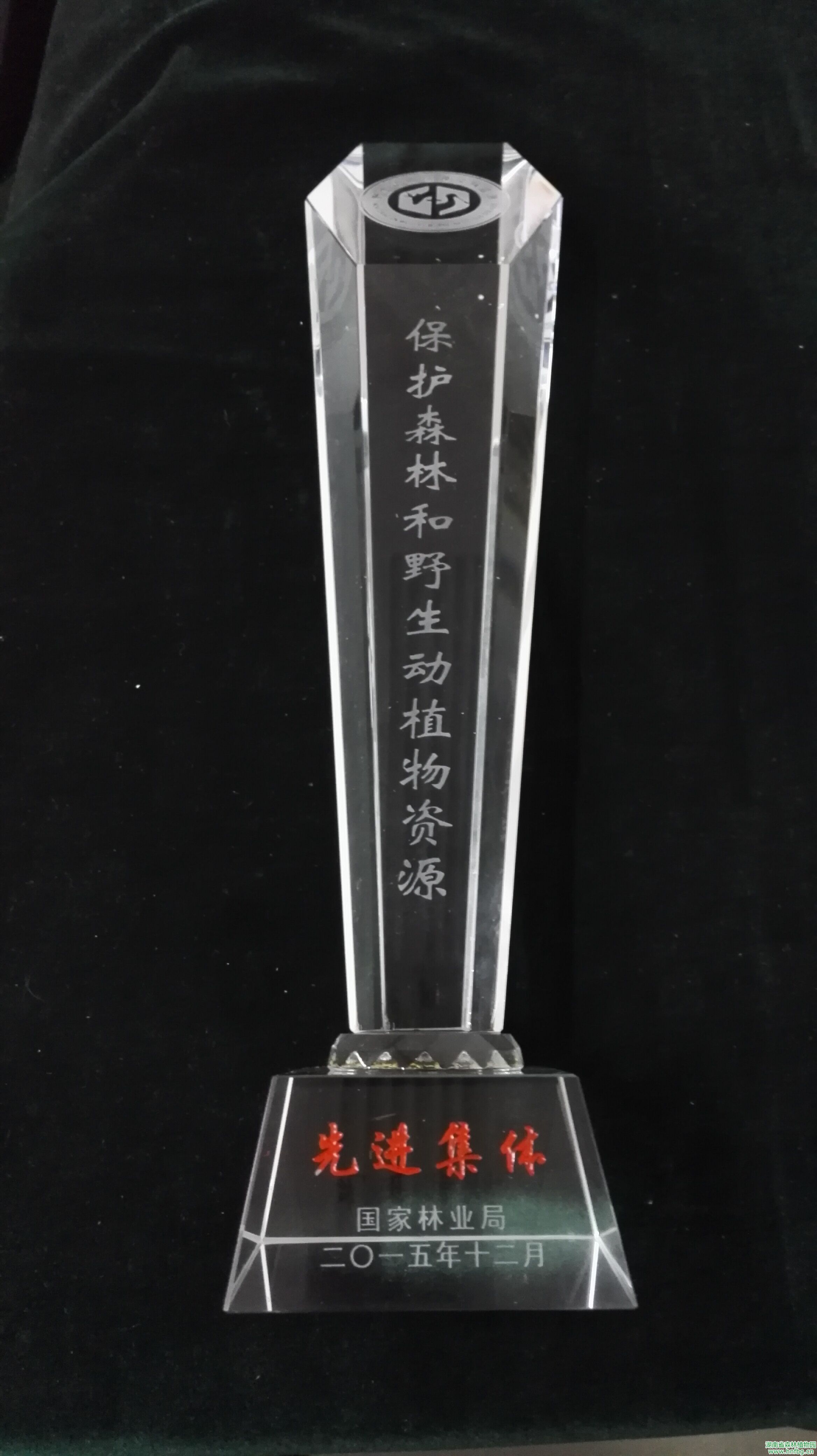 AG旗舰厅(中国游)官方网站