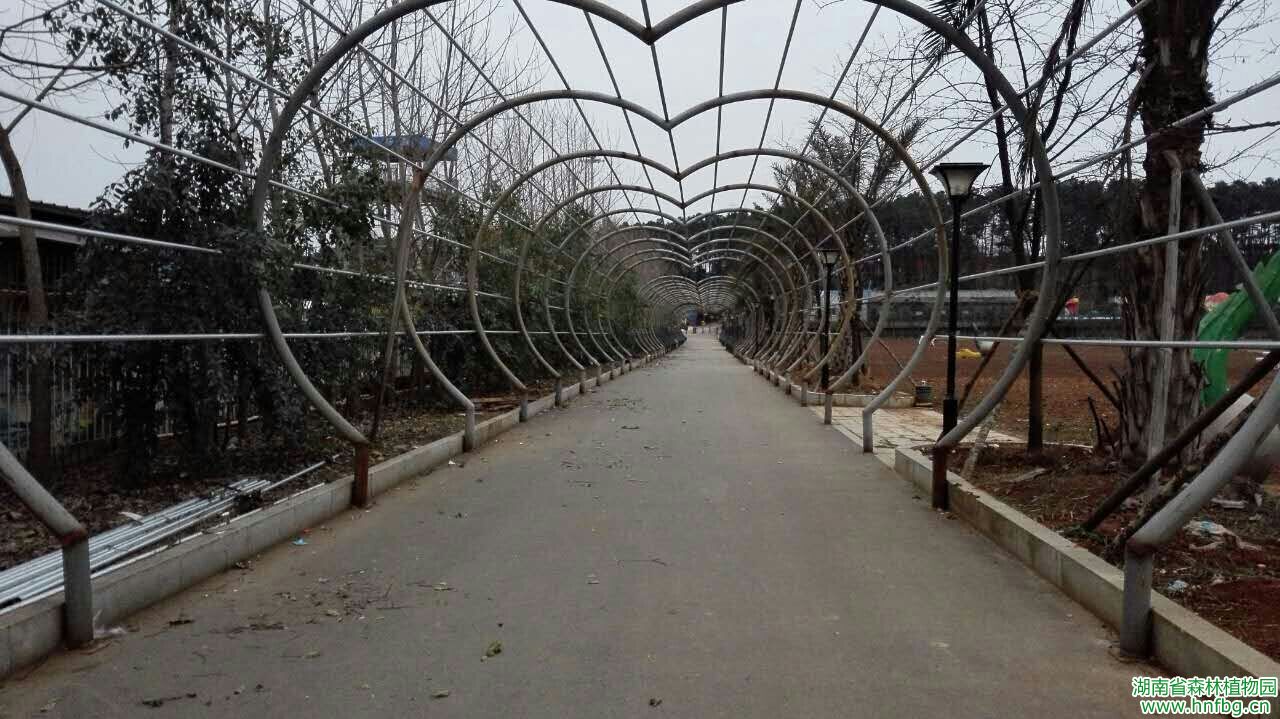 AG旗舰厅(中国游)官方网站