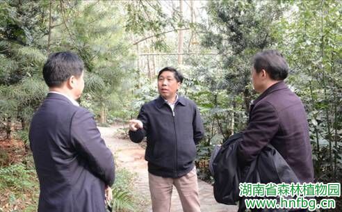 AG旗舰厅(中国游)官方网站