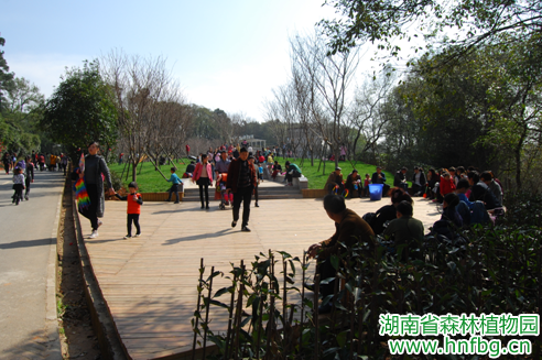 AG旗舰厅(中国游)官方网站