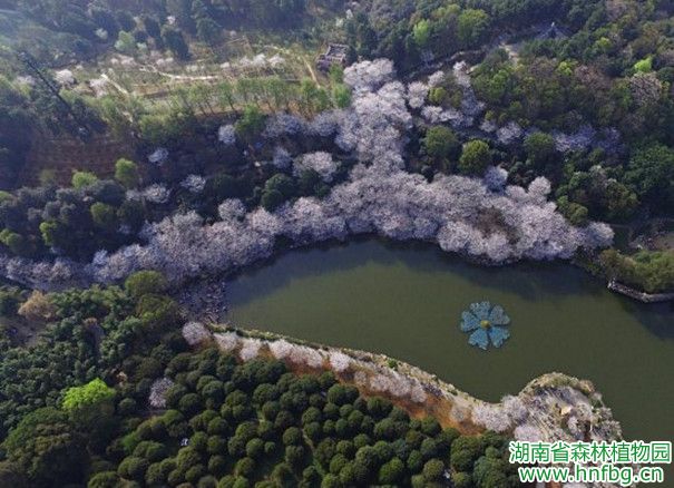 AG旗舰厅(中国游)官方网站