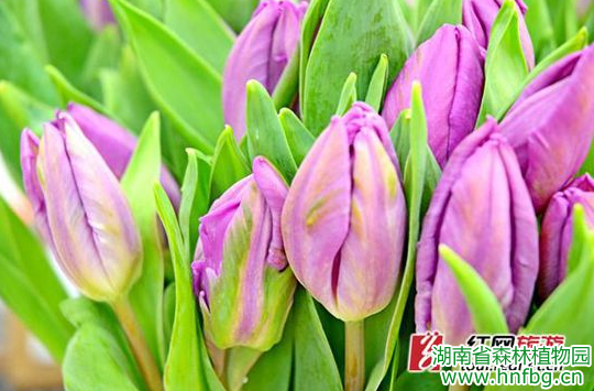 AG旗舰厅(中国游)官方网站