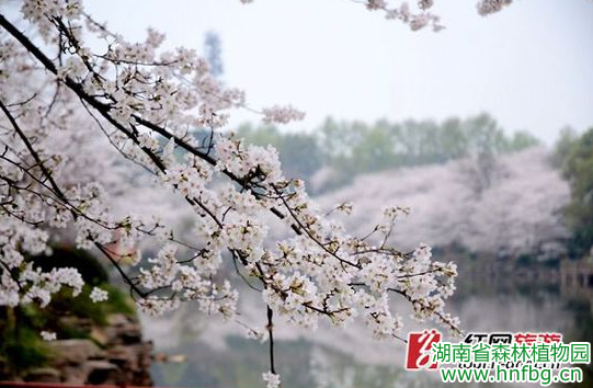 AG旗舰厅(中国游)官方网站