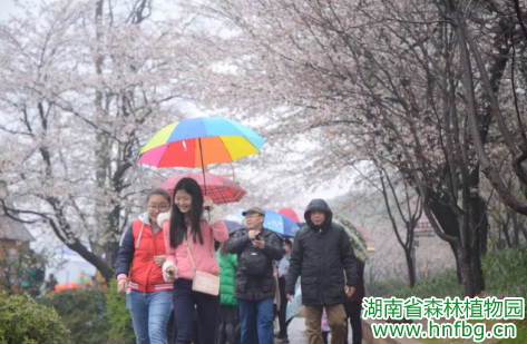 AG旗舰厅(中国游)官方网站