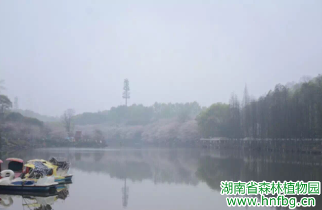 AG旗舰厅(中国游)官方网站
