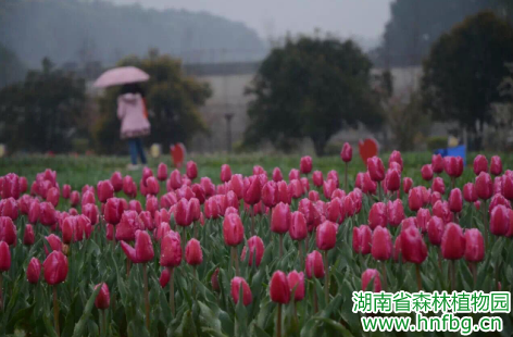 AG旗舰厅(中国游)官方网站