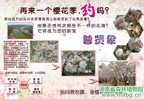 AG旗舰厅(中国游)官方网站