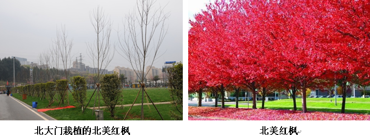 AG旗舰厅(中国游)官方网站