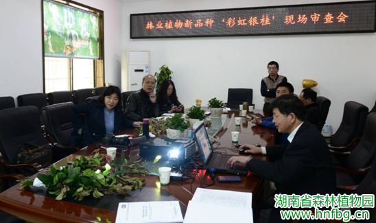 AG旗舰厅(中国游)官方网站