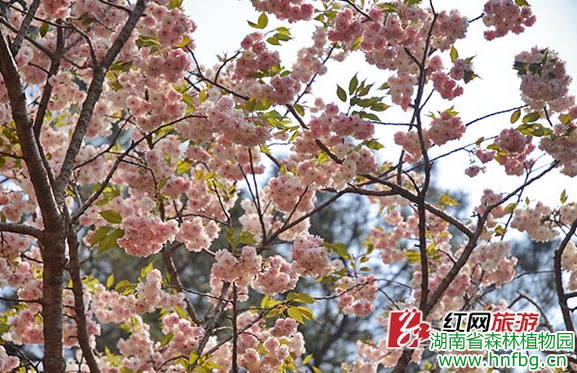 AG旗舰厅(中国游)官方网站