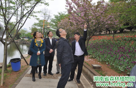 AG旗舰厅(中国游)官方网站