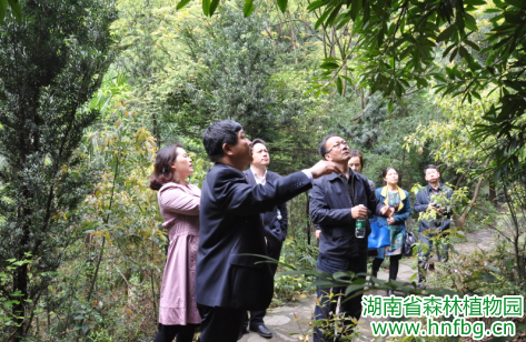 AG旗舰厅(中国游)官方网站