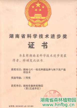 AG旗舰厅(中国游)官方网站