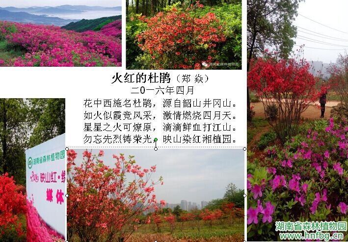 AG旗舰厅(中国游)官方网站