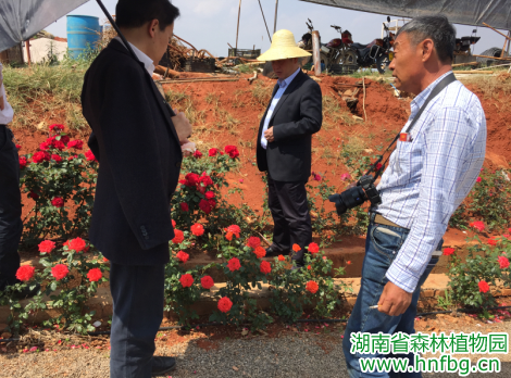 AG旗舰厅(中国游)官方网站