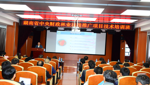 AG旗舰厅(中国游)官方网站