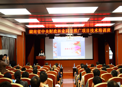 AG旗舰厅(中国游)官方网站